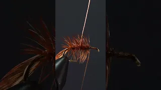 The Ultimate Dry Fly for Fooling Trout! — Fly Tying in 60 Seconds