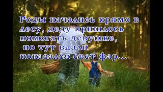 Роды начались прямо в лесу, деду пришлось помогать девушке, но тут вдалеке показался свет фар...