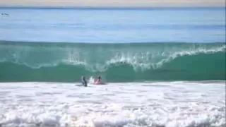 Did a great white shark photobomb surfing kids at Manhattan Beach, Calif.?