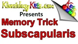 Subscapularis Memory Trick → Remember the Subscapularis Insertion || By: Kinesiology Kris