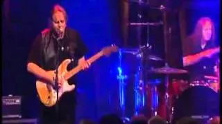 Walter Trout Performs Reason I&39m Gone From the DVD Relentless the concert