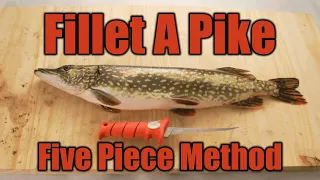 Fillet Pike with NO BONES (Step-by-Step)