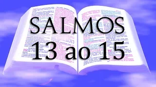 BÍBLIA - LIVRO DOS SALMOS, CAPÍTULOS 13, 14 E 15 (ARA)
