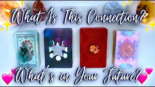 What Is This Connection & Where Is It Going? 🦋 Detailed Pick a Card Tarot Reading