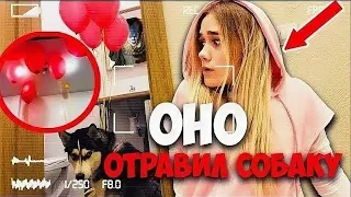 КЛОУН ПРОНИК В НАШ НОМЕР В ОТЕЛЕ!!! ПРИВЯЗАЛ СОБАКУ И ОСТАВИЛ СЮРПРИЗ! МЫ ЗНАЕМ КТО КЛОУН ОНО!