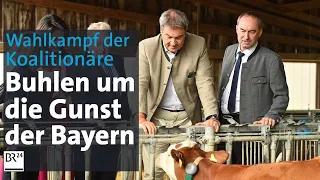 Landtagswahl: Söder und Aiwanger buhlen um Wählergunst | Kontrovers | BR24