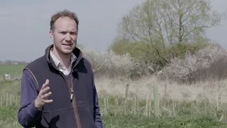 Agroforestry: How farmer Ben used trees to increase biodiversity on his family farm