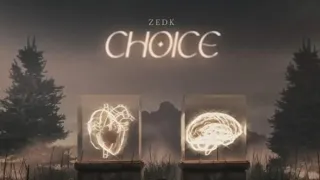 ZEDK - choice (lyrics _parole)