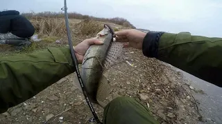 Ноябрьский Судак! ОКА, Закрываем сезон по жидкой воде.