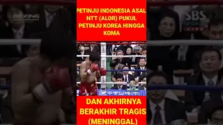 HOOK KANAN PETINJU INDONESIA ASAL NTT BUAT PETINJU KOREA KOMA DAN AKHIRNYA MENINGGAL#shorts