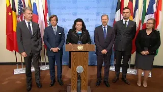 UK on behalf of the European Union members of the Security Council - Media Stakeout (23 July 2019)