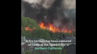 Powerful fire tornado in California is latest extreme #shorts