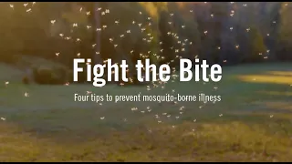 Best Ways to Prevent Mosquito Bites