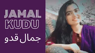 Jamal Jamaloo Jamal Kudu Song Cover By Rubab Rubana | Animal Movie Song