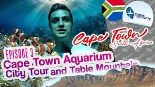 Cape Town Travel Guide: 3 - Cape Town Aquarium, City Tour and Table Mountain