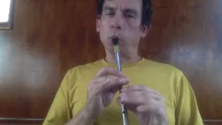 Dennis Murphy's Polka | Tin Whistle