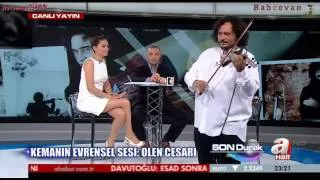 Olen Cesari Violin Show 2