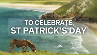 Fill your heart with Ireland this St Patrick's Day