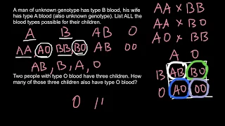 How to solve ABO blood type problems 8
