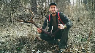 Zhody 2021 - skrytý 14 torák Zrzuty 2021 paroh parožie deer antler paroží hirschhorn agancs