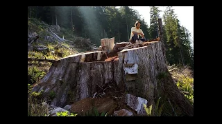 Old Growth Forests on Vancouver Island | Presentation by Ken Wu & TJ Watt of Ancient Forest Alliance