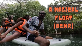 Floating Through The Watamu Mangrove Forest ASMR (Episode 4)