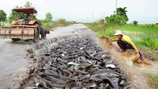 Unbelievable This Fishing ! - Best Catching & catfish Run Up the Road Flooded 2021