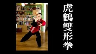 洪拳 - 虎鶴雙形拳 Hung Gar - Fu Hok Seung Ying Kuen