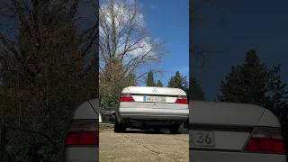 W124 E420 Mercedes-Benz Cold Start after 2 weeks