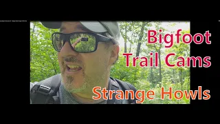 My Bigfoot Story Ep. 185 - Strange Howls Caught on Trail Cam