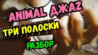 Animal ДжаZ - Три полоски на кедах на гитаре | разбор | как играть | аккорды