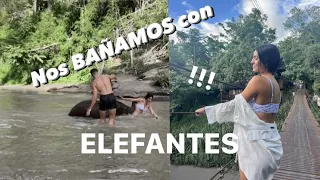 Nos BAÑAMOS con ELEFANTES en TAILANDIA! l VLOG l @Miriaam03_