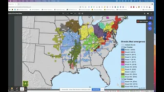 Active Periodical Cicada Broods of the United States