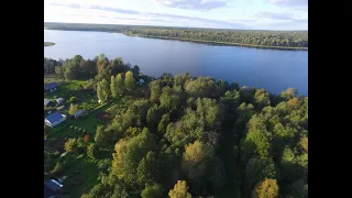 Участок 20 соток ИЖС на берегу озера, первая линия, прямо у воды, Лужский район