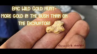 Gold Target after Gold target- One of those rare days of continuous prospecting delights