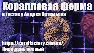 Коралловая ферма.  В гостях у Андрея Артемьева.  Киев первый день.