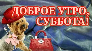 С ДОБРЫМ УТРОМ СУББОТА! ЖЕЛАЮ ОТЛИЧНЫХ ВЫХОДНЫХ!