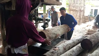 POTONG KAYU SENGON HASIL MELIMPAH ⁉️SELALU BERKAH DAN BAROKAH