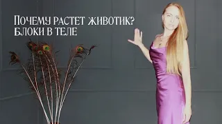 Как убрать животик? Откуда берётся животик? Броня! Блоки в теле. Кортизоловый живот.