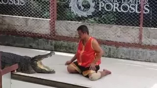 Crocodile show in Phuket, Thailand / Шоу крокодилов на Пхукете, Таиланд