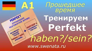 А1/А2 Тренируем Perfekt в упражнениях haben/sein