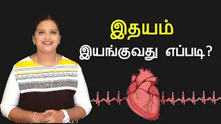 Circulatory System - How Heart Works?  (Tamil)