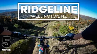 ROCKY GOODNESS - Ridgeline Mountain Bike Trail (Grade 5 - Expert) | Makara Peak, Wellington