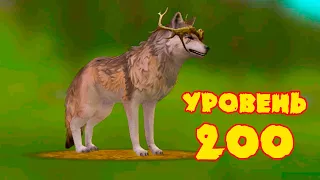 Качаем ВОЛКА до уровня 200 в WildCraft