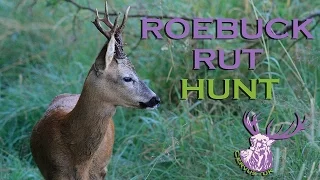 EPIC ROEBUCK RUT HUNT