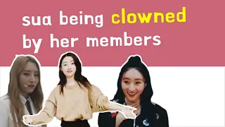 introducing sua being clowned by her members 🤡