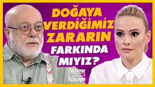 Doğaya Verdiğimiz Zararın Farkında mıyız?  | Zincirleme Reaksiyon | BBO Yapım