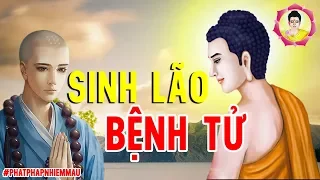 Phật dạy ''Sinh Lão Bệnh Tử'' Cuộc Đời Là Vô Thường - Phật Pháp Nhiệm Mầu