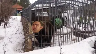 Не лезь, она тебя сожрёт (Gachi Edition/Right Version)