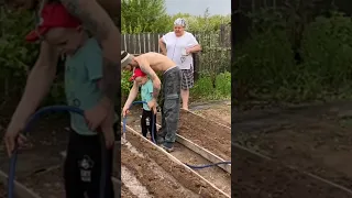 Дружно Сажаем огород🥕🥒🌽🍅🍆#shorts #short #огород #дача